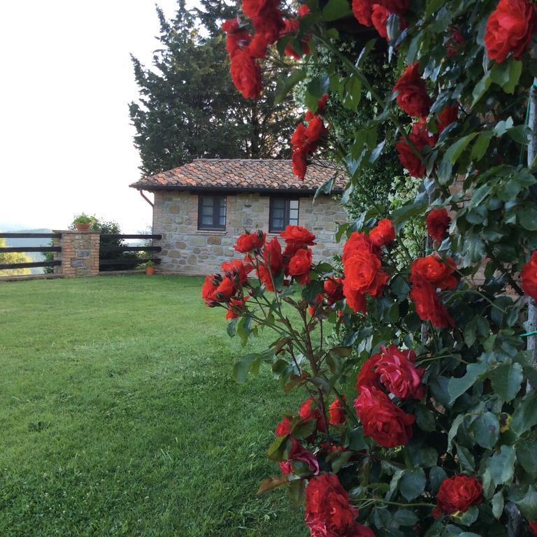Agriturismo La Bicocca - Apt. "Il Leccio" Castel Rigone Szoba fotó